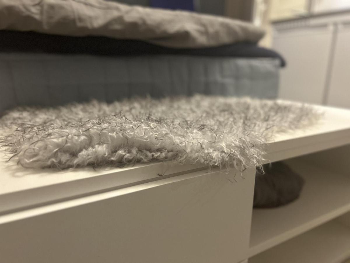 New Studio Apartment In Tromso - Aurora Hotspot Εξωτερικό φωτογραφία